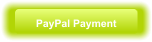 PayPal Payment