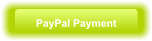 PayPal Payment