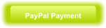 PayPal Payment